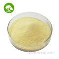 Sophora japonica Extrakt Quercetin 98% Pulver